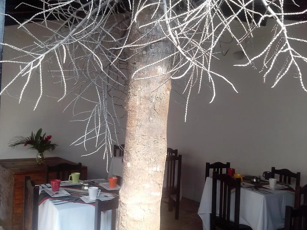Lua Azul Suites Guest house